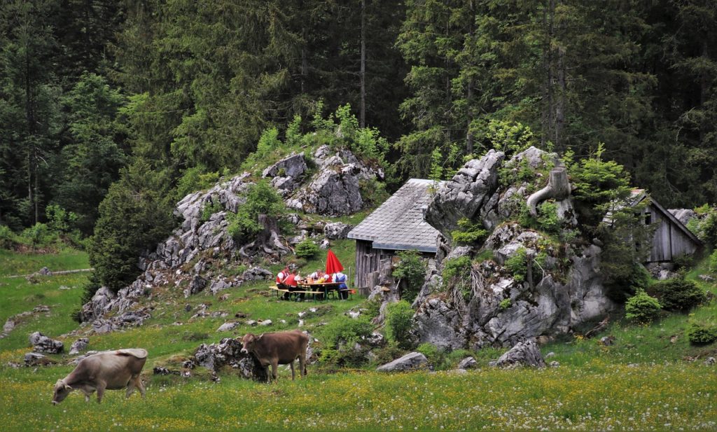 meadow, hat, rocks-5211846.jpg