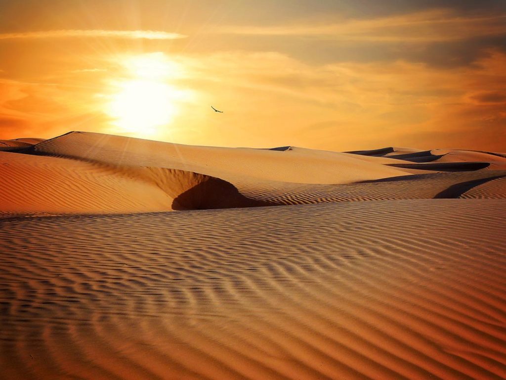 desert, sand, barren-790640.jpg