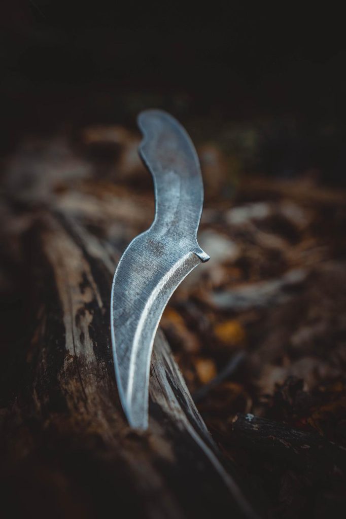 karambit, knife, weapon-5587758.jpg