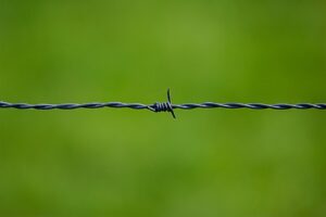 barbed wire, wire, security-250822.jpg